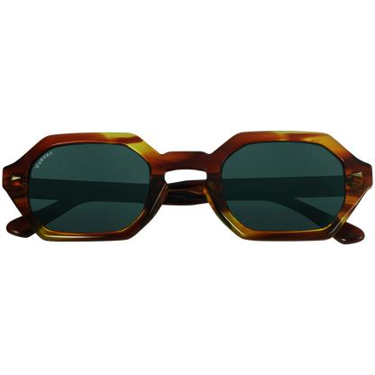 Orange Tortoise Shell